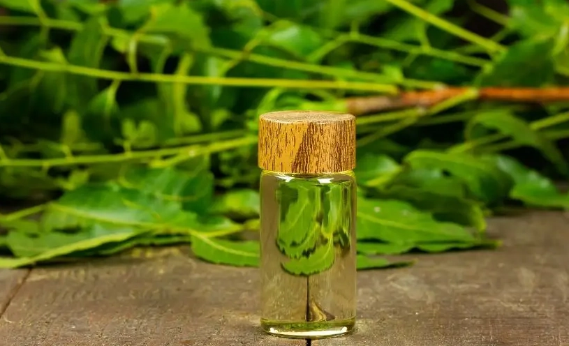 樹木生病怎麼辦 樹木生病怎麼辦