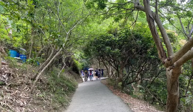 情侶爬山景點 情侶爬山景點