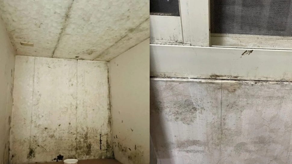 房屋潮濕責任 房屋潮濕責任