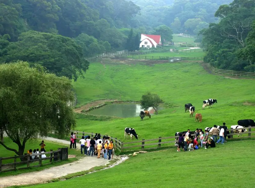 台中親子景點推薦