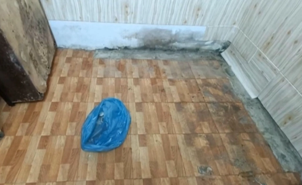 牆壁發霉誰負責 牆壁發霉誰負責