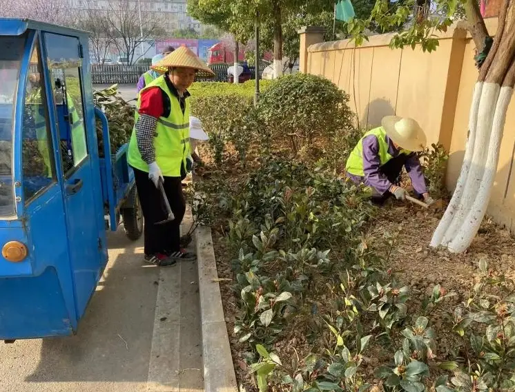 灌木移植步驟 灌木移植步驟