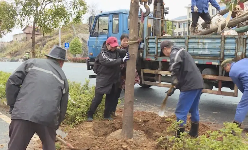 庭院移植技巧 庭院移植技巧