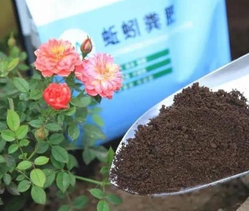 鬆土方法 鬆土方法