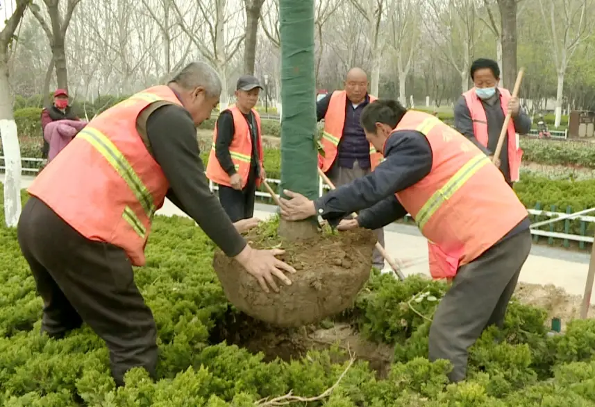 庭院移植技巧 庭院移植技巧