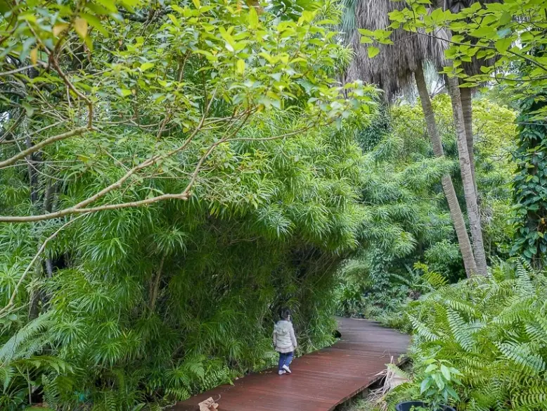 台北植物園停車 台北植物園停車
