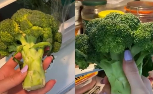 花椰菜變黃原因 花椰菜變黃原因