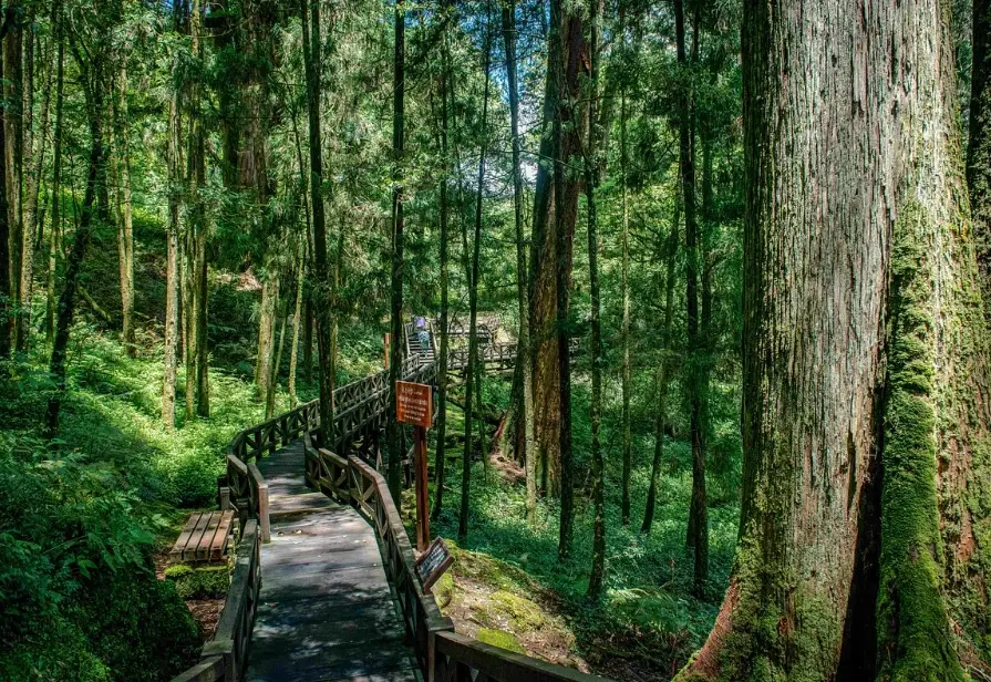 嘉義親子旅遊