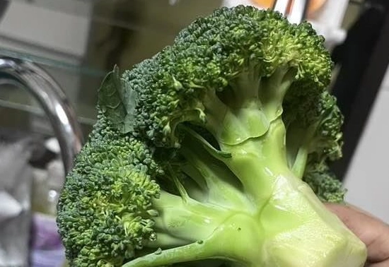 花椰菜變黃原因 花椰菜變黃原因