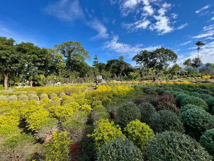 草莓園推薦 草莓園推薦