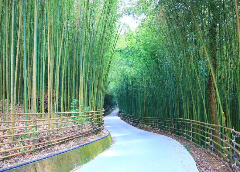苗栗景點