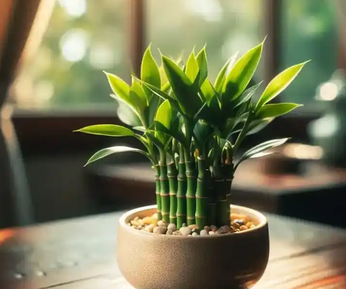 寵物安全植物 寵物安全植物