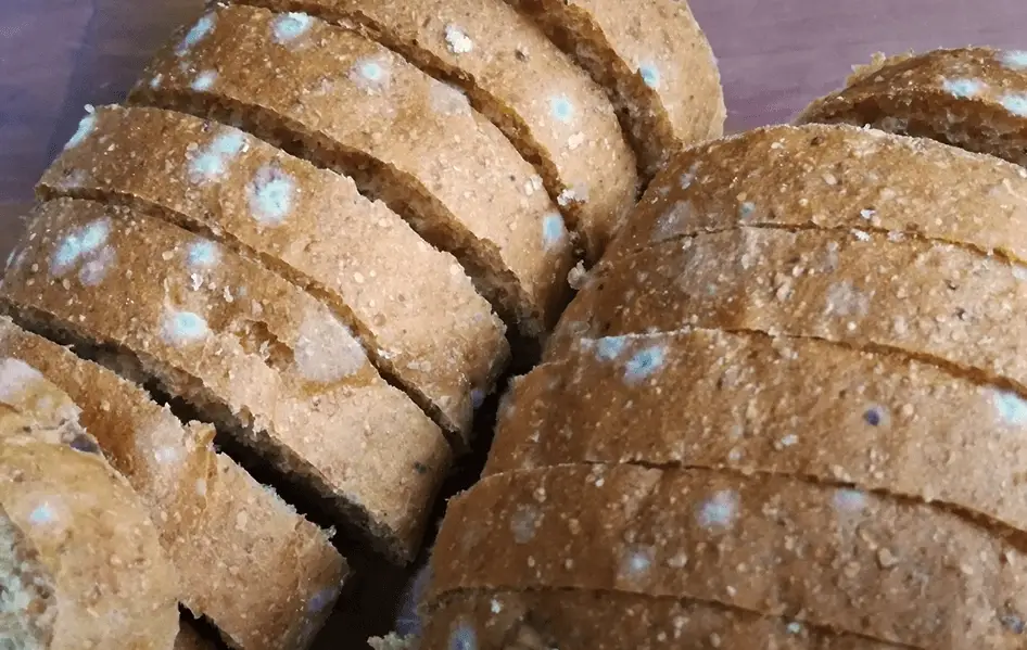 食物保存
