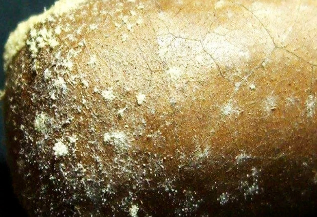 食物保存
