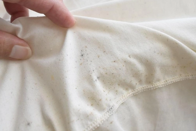 衣服發霉清洗 衣服發霉清洗