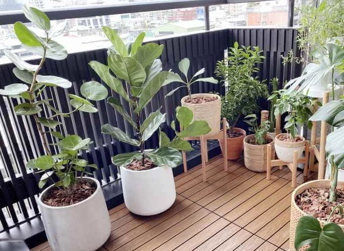 陽台佈置終極指南：小空間變身療癒花園的實用技巧