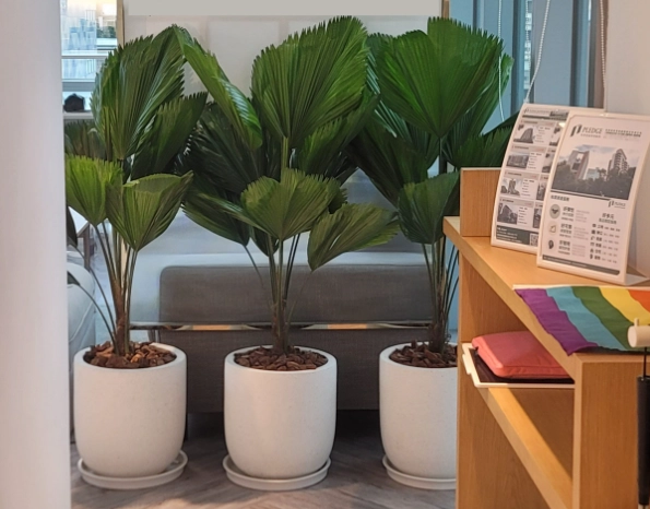 植物照顧 植物照顧