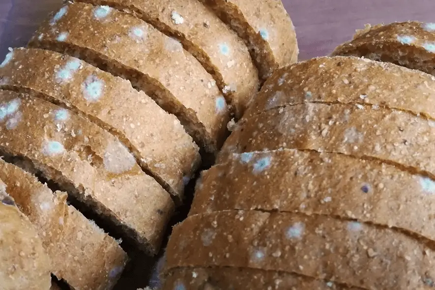 食物發霉處理