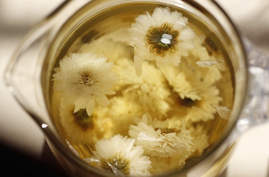 菊花茶禁忌 菊花茶禁忌