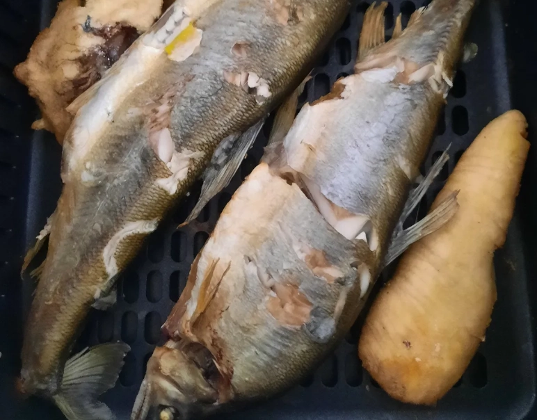 氣炸吳郭魚時間