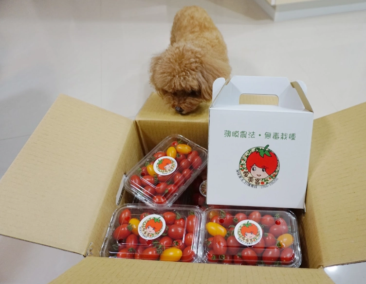 著果劑使用方法 著果劑使用方法
