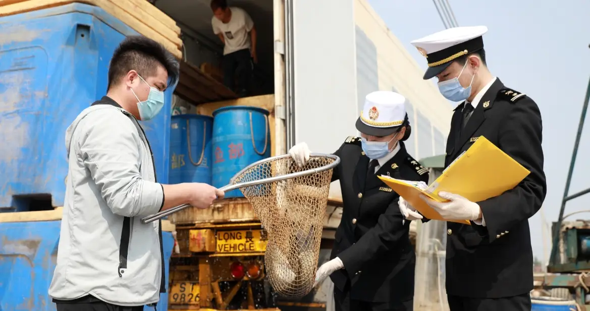 海關申報罰款 海關申報罰款