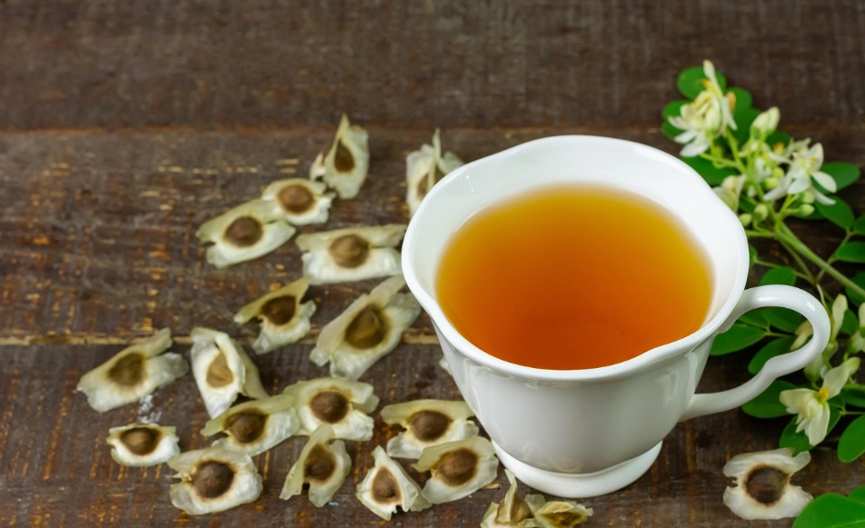 辣木茶功效
