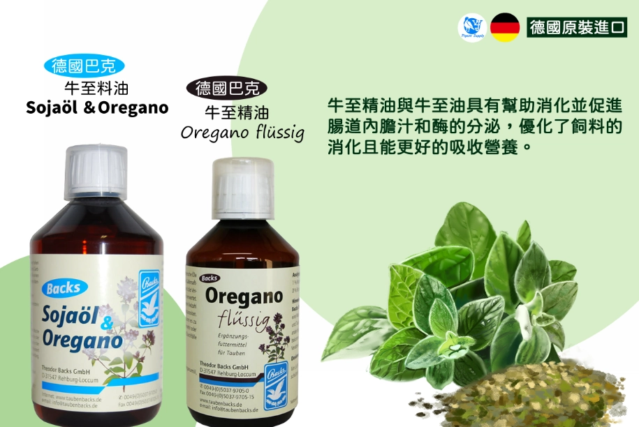 香港腳精油推薦 香港腳精油推薦