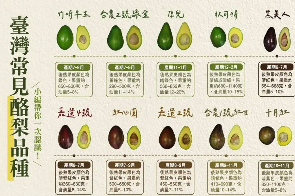 酪梨產季