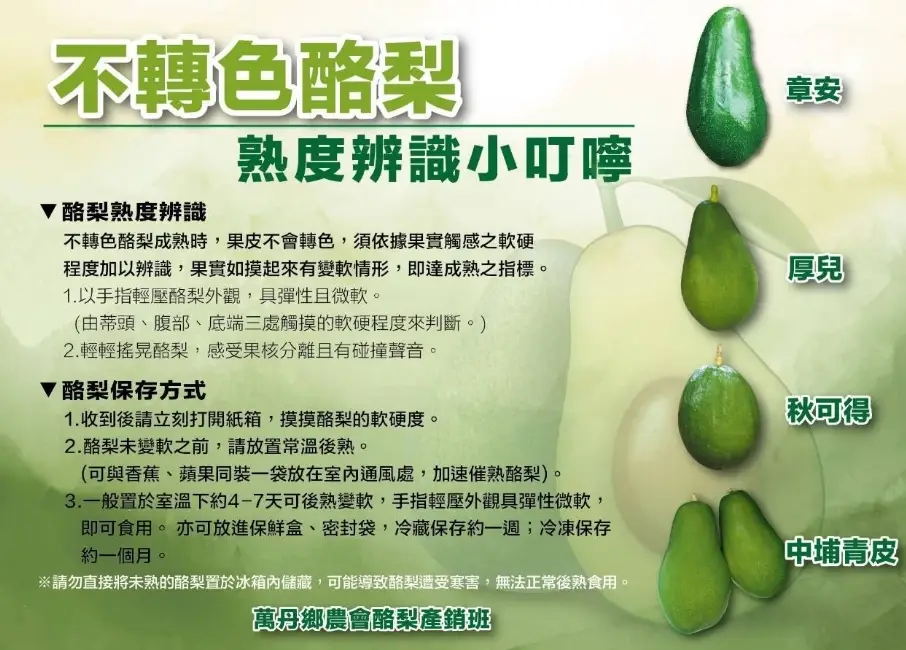 台灣酪梨品種 台灣酪梨品種