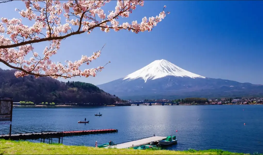 富士山露營 富士山露營