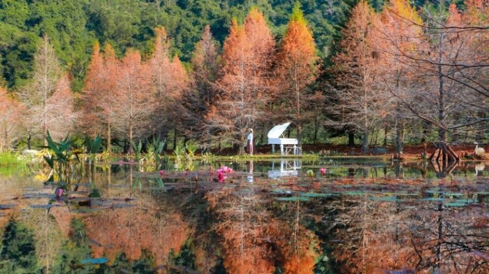 苗栗五星級飯店