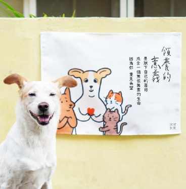 台南寵物咖啡廳