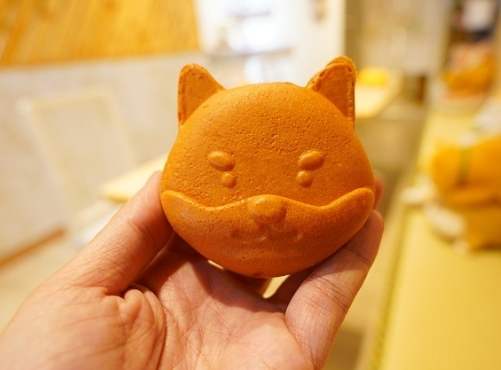 台南寵物咖啡廳