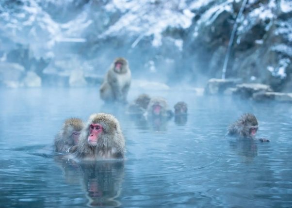 日本旅遊推薦 日本旅遊推薦