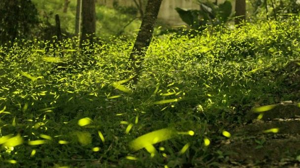 台中山區景點 台中山區景點