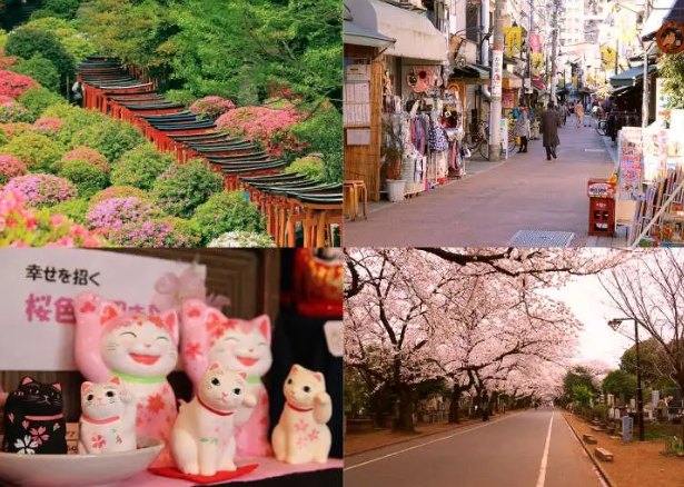 東京自由行 東京自由行