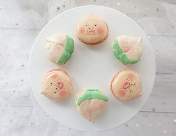 台南寵物咖啡廳