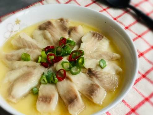 台南寵物咖啡廳