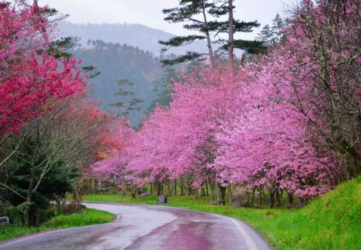 台中山區景點 台中山區景點
