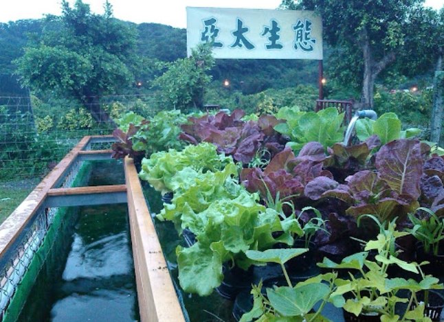 林口親子景點 林口親子景點