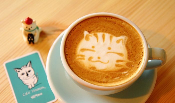 台南寵物咖啡廳