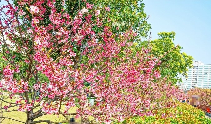 林口親子景點 林口親子景點