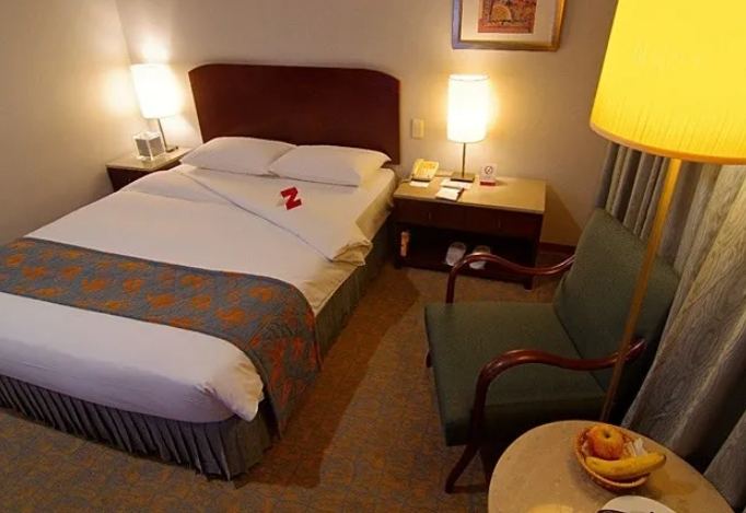 桃園六星旅館 桃園六星旅館