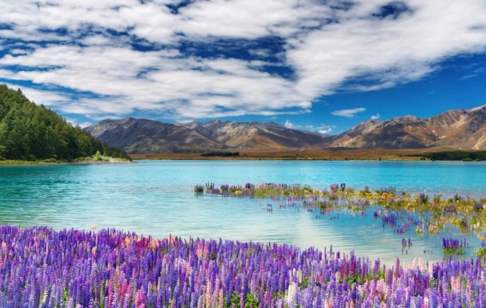 紐西蘭旅遊費用