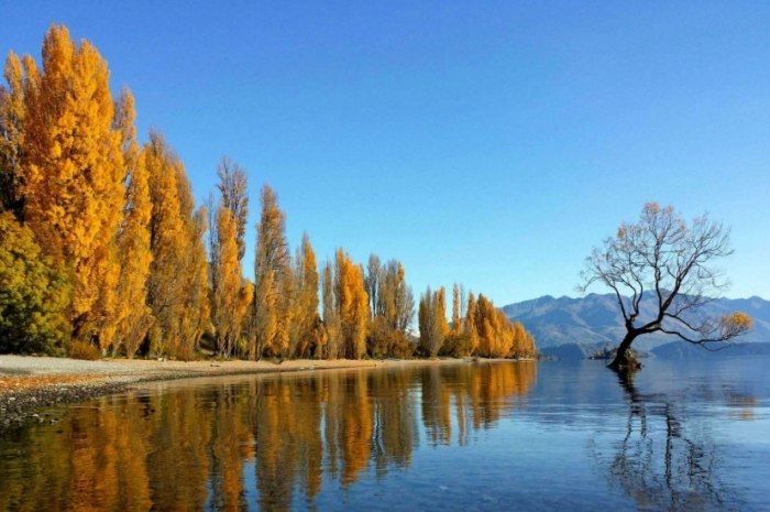 紐西蘭旅遊費用