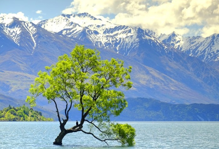 紐西蘭旅遊費用