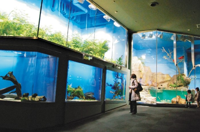 鳥羽水族館