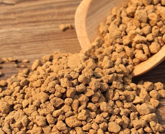 多肉植物鋪面 多肉植物鋪面