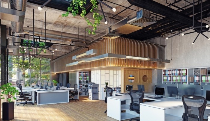 办公室植物风水